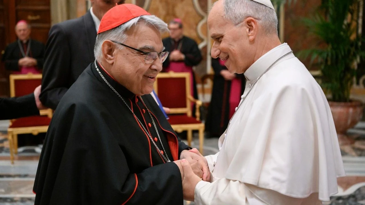 Papa Leão XIV destaca a importância dos santos para a humanidade